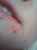 dsc00224.jpg